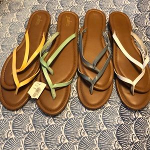 PALMS flops- set of four pairs